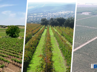 ue-quattro-nuove-denominazioni-di-origine-protette