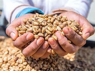 ditta-artigianale-atterra-in-bolivia