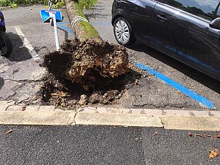 cade-un-albero-in-via-curzio-malaparte