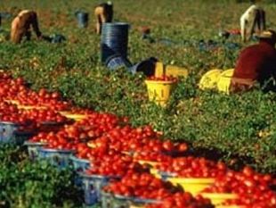 dossier-immigrazione-in-toscana-e-straniero-l11