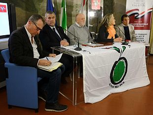 girolio-italia-turismo-lento-e-scoperta-del-paesaggio-olivetato