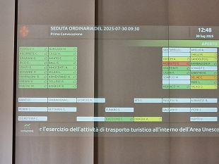 navette-turistiche-il-dibattito-in-consiglio-comunale