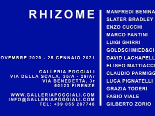 rhizome-alla-galleria-poggiali