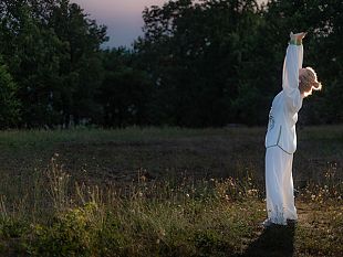 i-maestri-della-scuola-di-arti-marziali
