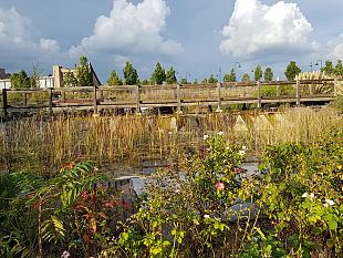 parco-di-san-donatouna-interrogazione-al-sindaco-sulla-manutenzione