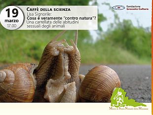 cosa-e-veramente-contro-natura-le-abitudini-sessuali-degli-animali