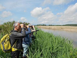 padule-di-fucecchio-dal-7-giugno-riapre-al-pubblico-il-centro-visite
