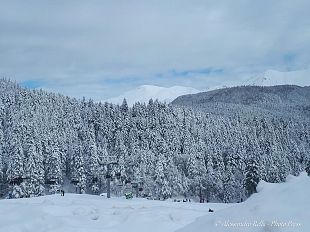 neve-freddo-e-vento-fiocchi-anche-a-200-metri