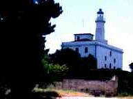 a403191741-inverno-a-pianosa