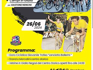 campi-in-giallo-per-gastone-nencini