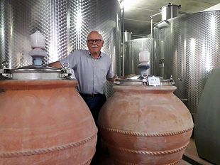 vino-anfore-sempre-piu-di-moda