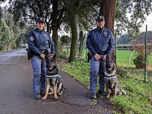 cascine-15-chili-di-droga-tra-i-binari-ferroviari