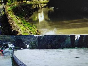 mulino-nuovo-che-differenza-lema-in-un-giorno-solo