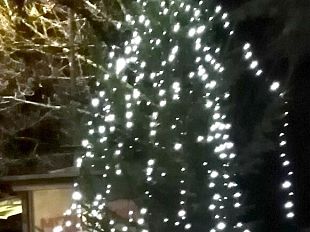 albero-di-comunita-al-galluzzo-lo-decorano-i-cittadini