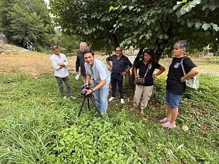 ortica-e-rucola-il-benessere-del-prato-tra-tradizione-e-scienza