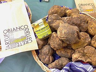 toscana-del-tartufo-bianco-protagonista-al-fuori-expo