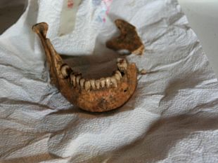 b105251428-trovato-scheletro-di-donna-forse-e-lisa