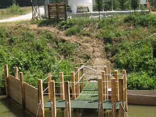 b308062141-caldo-anche-domani-temperature-da-codice-rosso