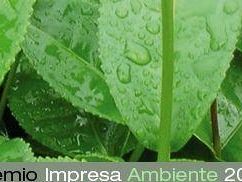 a702271058-responsabilita-sociale-la-toscana-una-delle-regioni-piu-attente-all-ambiente