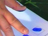 a807242208-regolamento-di-polizia-urbana-approvato-dal-consiglio-comunale