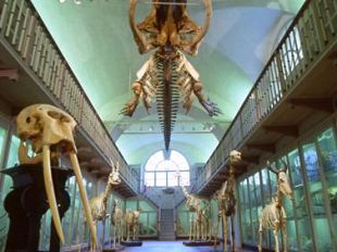 b303152043-l-universita-di-firenze-raccoglie-fondi-per-la-citta-della-scienza-di-napoli