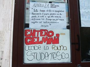 b010051450-manifestazione-a-firenze-contro-la-riforma-gelmini