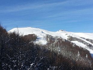 domani-allerta-gialla-per-il-vento-a-firenze