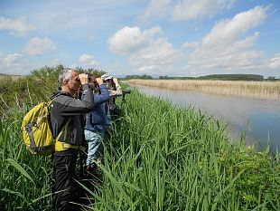 osservare-la-natura-un-corso-per-imparare