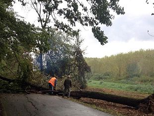 il-vento-non-e-finito