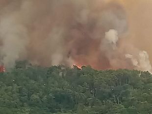 versilia-grosso-incendio-alle-pendici-del-monte-matanna