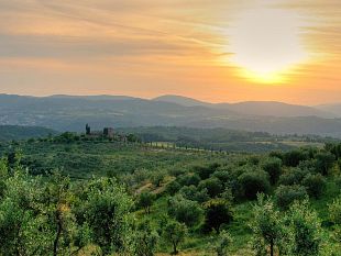 anci-toscana-e-accademia-dei-georgofili-si-rinnova-lintesa