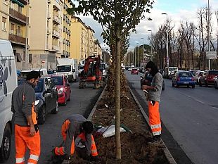 maxi-piano-verde-700-nuovi-alberi-a-firenze