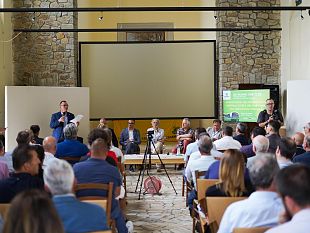 agrivoltaico-multifunzionalita-agricola-e-tutela-del-paesaggio