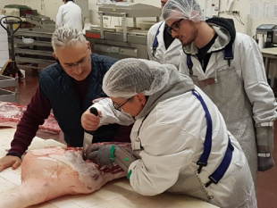 macellaio-e-aiuto-cuoco-il-lavoro-in-toscana-si-trova
