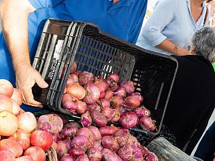 quanti-mercatini-nel-prossimo-fine-settimana