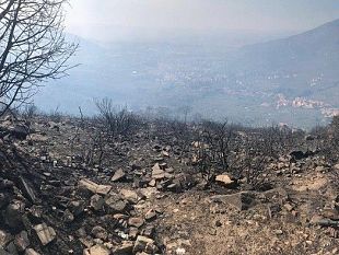 oggi-e-domani-massimo-livello-di-rischio-per-gli-incendi-boschivi