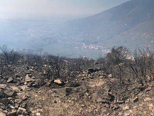 incendio-boschivo-in-valle-della-torbola