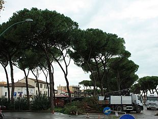 livorno-400-interventi-di-soccorso-nella-settimana-del-maltempo