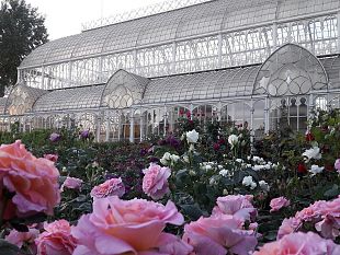 nasce-a-firenze-il-portale-piante-italiane-comprare-on-line