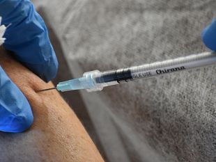 covid-28-milioni-di-over-60-non-ancora-vaccinati-ne-prenotati