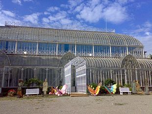 b210011425-piante-e-fiori-all-orticoltura-sabato-6-e-domenica-7-ottobre