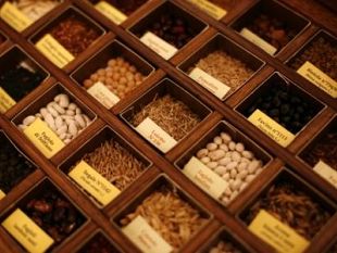 b006041545-firenze-terra-futura-chiude-con-92mila-visitatori