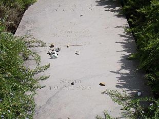 b210301911-defunti-cerimonie-e-rischio-congestionamenti-del-traffico