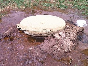 sfondano-la-vetrina-col-tombino-e-rubano-i-computer