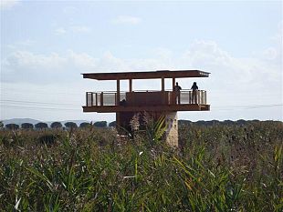 b112301344-andare-al-ristorante-o-disturbare-la-fauna-selvatica-in-una-riserva-naturale