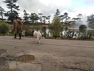 ruota-e-pista-ghiaccio-ok-della-sovrintendenza