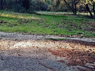oggi-e-la-candelora-siamo-fuori-dallinverno-o-no