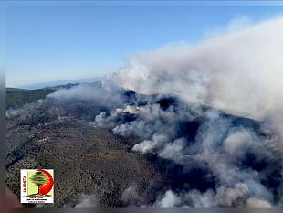 incendio-boschivo-tra-lucca-e-pisa-notte-di-lavoro