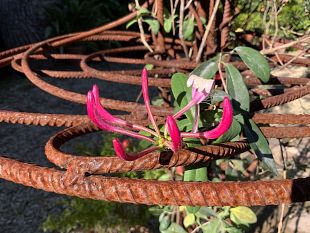 matteo-baroni-opera-viva-alle-serre-torrigiani