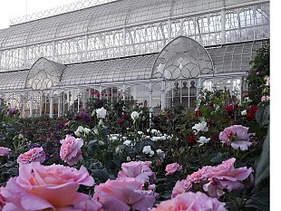 torna-la-mostra-dei-fiori-in-via-bolognese